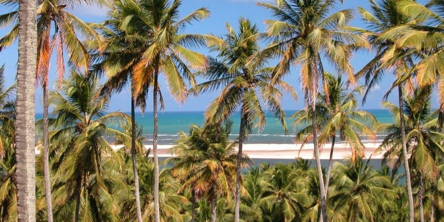 Barravilha Chales Barra do Cunhau Exterior foto